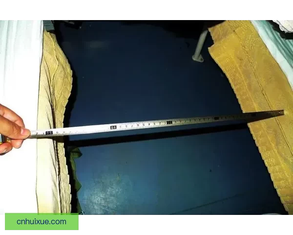 以办公室五十P为中心构建跨部门协作共享与健康成长空间的新秩序